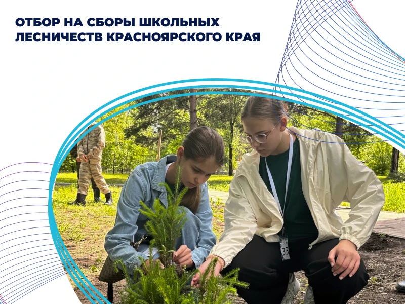 Отбор на «Сборы школьных лесничеств»