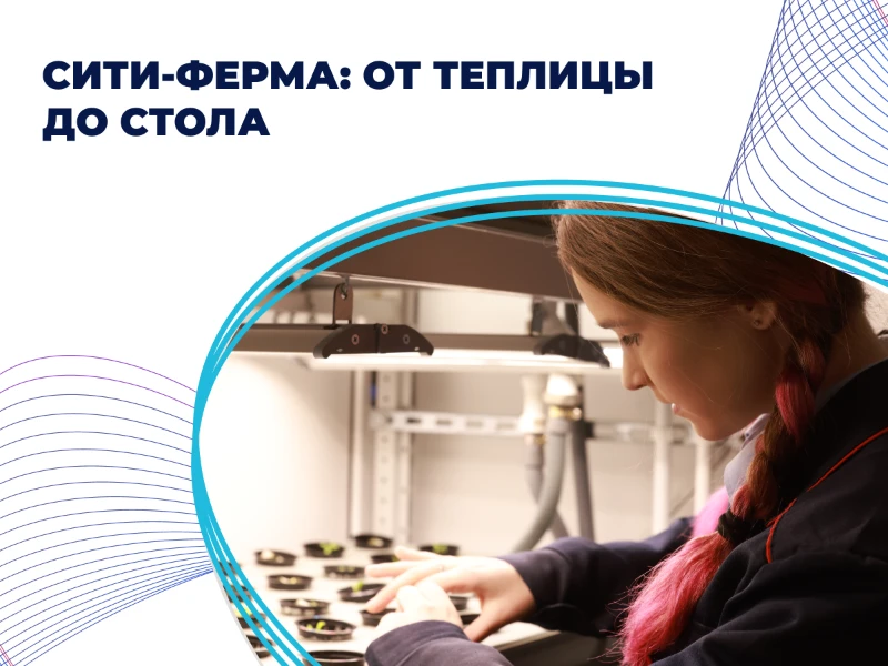 Сити-ферма: от теплицы до стола