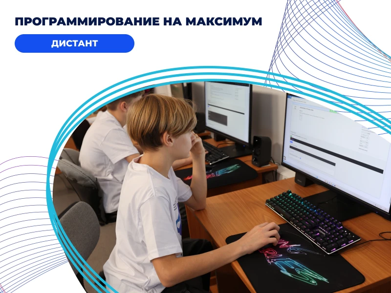 Программирование на максимум