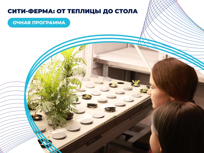 Сити-ферма: от теплицы до стола