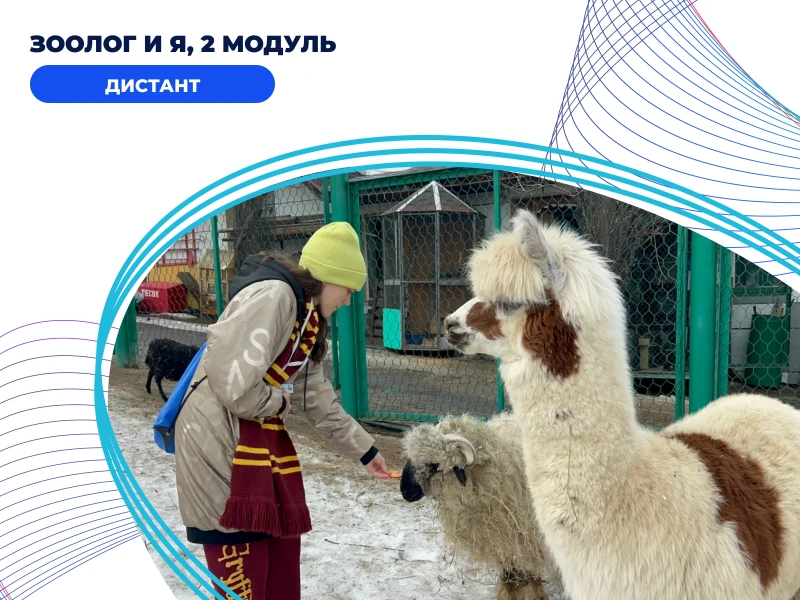 Зоолог и Я, 2 модуль