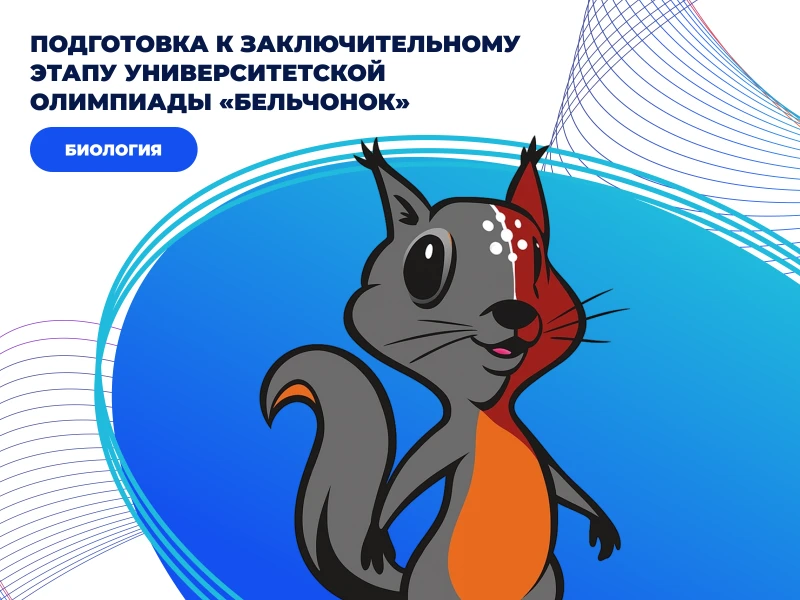 Подготовка к олимпиаде «Бельчонок» по биологии