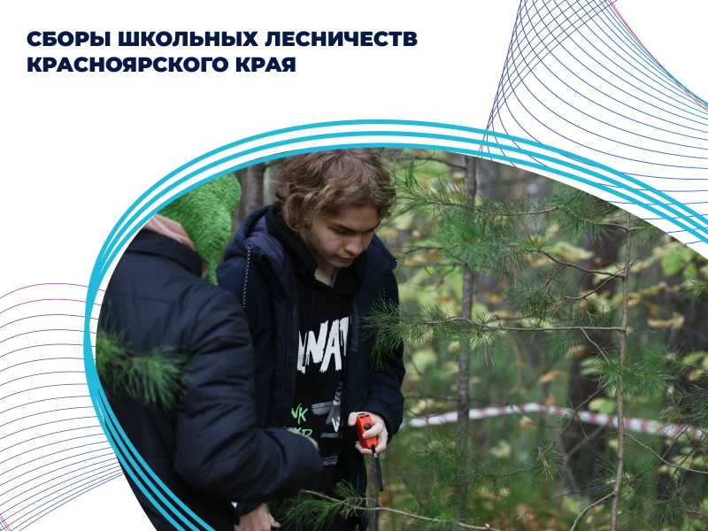 Сборы школьных лесничеств Красноярского края